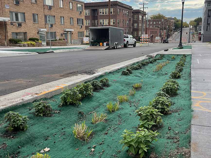 Franklin Ave W street view with boulevard garden
