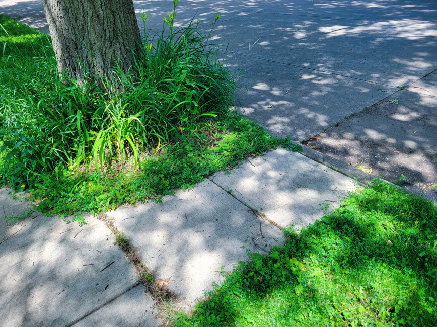 Public walkway connecting to street