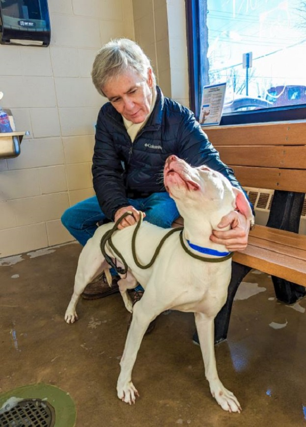 A man sitting on an indoor bench pets a dog