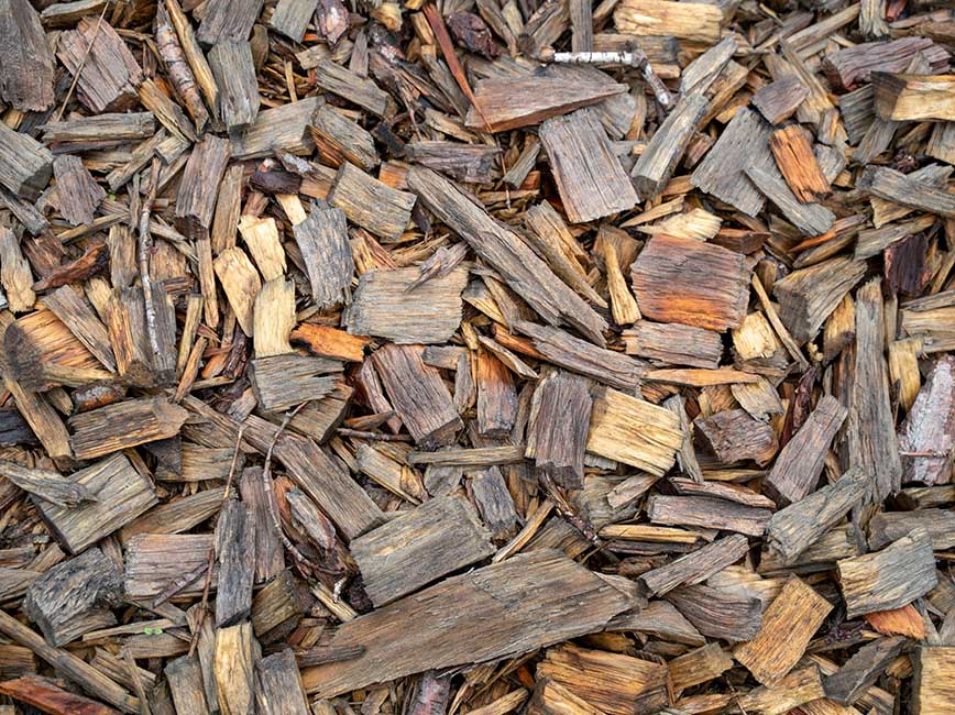 Wood chips