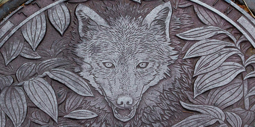 Wolf cover by Kate Burke