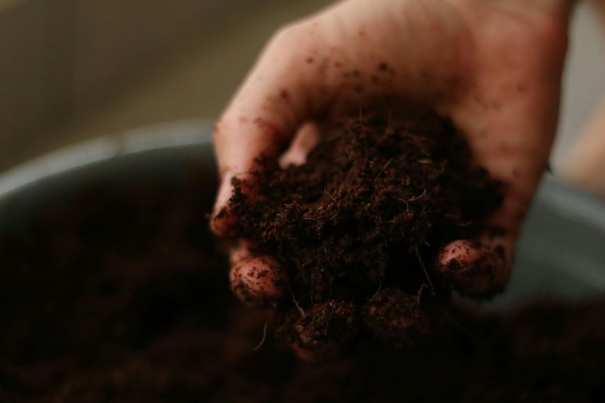 Hand holding soil
