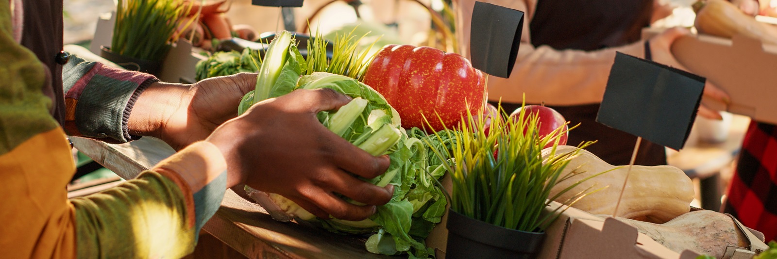 Making good, affordable food available for all