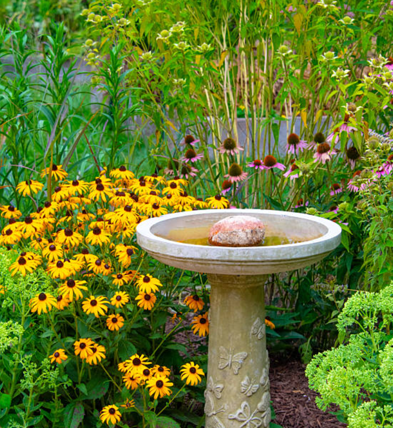 Bird bath with flowers