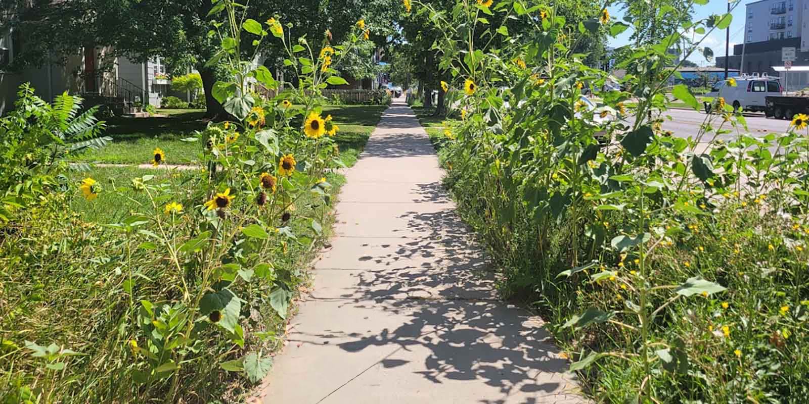 Boulevard garden design guide