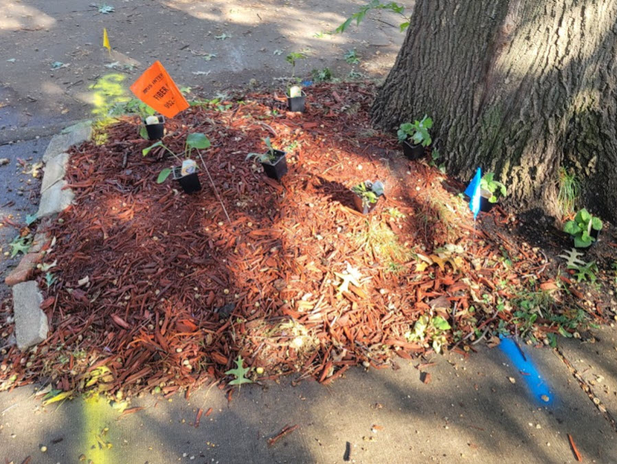 Utility line markers in public right-of-way
